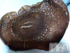 上越デリヘル上越最安値！奥様Deli急便(ジョウエツサイヤスネ！オクサマデリキュウビン) 熟女エロパワー全開　あきほ(54)の11月13日写メブログ「明日から宜しくお願いします」