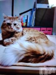 上越デリヘル上越最安値！奥様Deli急便(ジョウエツサイヤスネ！オクサマデリキュウビン) 熟女エロパワー全開　あきほ(54)の11月27日写メブログ「昨日のお客様ありがとうございましたm(_ _)m」