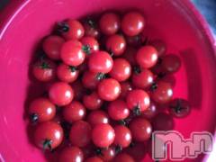 上越デリヘル上越最安値！奥様Deli急便(ジョウエツサイヤスネ！オクサマデリキュウビン) 熟女エロパワー全開　あきほ(54)の6月15日写メブログ「いつもありがとうございます😊」