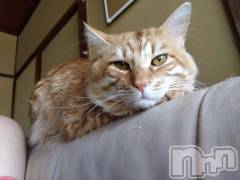 上越デリヘル上越最安値！奥様Deli急便(ジョウエツサイヤスネ！オクサマデリキュウビン) 熟女エロパワー全開　あきほ(54)の5月7日写メブログ「連休明けは」