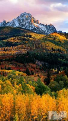 上越デリヘル 上越最安値！奥様Deli急便(ジョウエツサイヤスネ！オクサマデリキュウビン) 熟女エロパワー全開　あきほ(54)の11月16日写メブログ「お仕事お疲れ様でした～」