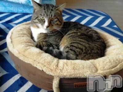 上越デリヘル 上越最安値！奥様Deli急便(ジョウエツサイヤスネ！オクサマデリキュウビン) 熟女エロパワー全開　あきほ(54)の12月5日写メブログ「今日も1日宜しくお願いします。」