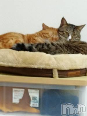 上越デリヘル 上越最安値！奥様Deli急便(ジョウエツサイヤスネ！オクサマデリキュウビン) 熟女エロパワー全開　あきほ(54)の12月7日写メブログ「こんにちは✿」