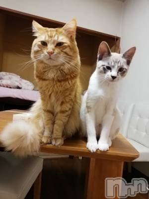 上越デリヘル 上越最安値！奥様Deli急便(ジョウエツサイヤスネ！オクサマデリキュウビン) 熟女エロパワー全開　あきほ(54)の3月25日写メブログ「月曜日から出勤します」