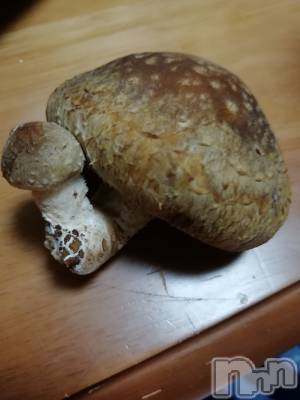 上越デリヘル 上越最安値！奥様Deli急便(ジョウエツサイヤスネ！オクサマデリキュウビン) 熟女エロパワー全開　あきほ(54)の3月28日写メブログ「あきほとラブラブしよ♡♡♡♡♡」