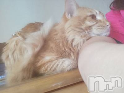 上越デリヘル 上越最安値！奥様Deli急便(ジョウエツサイヤスネ！オクサマデリキュウビン) 熟女エロパワー全開　あきほ(54)の3月31日写メブログ「あきほとラブラブしよ♡♡♡♡♡」