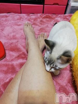 上越デリヘル 上越最安値！奥様Deli急便(ジョウエツサイヤスネ！オクサマデリキュウビン) 熟女エロパワー全開　あきほ(54)の4月1日写メブログ「あきほとラブラブしよ♡♡♡♡♡」