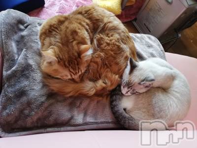 上越デリヘル 上越最安値！奥様Deli急便(ジョウエツサイヤスネ！オクサマデリキュウビン) 熟女エロパワー全開　あきほ(54)の4月18日写メブログ「可愛い熟女と遊びませんか」