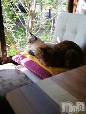 上越デリヘル 上越最安値！奥様Deli急便(ジョウエツサイヤスネ！オクサマデリキュウビン) 熟女エロパワー全開　あきほ(54)の5月6日写メブログ「熟女と遊びませんか？損はさせないよ🎵」