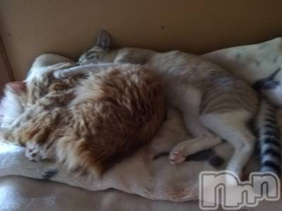 上越デリヘル 上越最安値！奥様Deli急便(ジョウエツサイヤスネ！オクサマデリキュウビン) 熟女エロパワー全開　あきほ(54)の5月10日写メブログ「まだまだ待ってます♡」