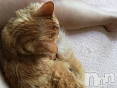 上越デリヘル 上越最安値！奥様Deli急便(ジョウエツサイヤスネ！オクサマデリキュウビン) 熟女エロパワー全開　あきほ(54)の5月16日写メブログ「今日から時間短くなったよ！」