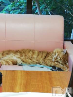 上越デリヘル 上越最安値！奥様Deli急便(ジョウエツサイヤスネ！オクサマデリキュウビン) 熟女エロパワー全開　あきほ(54)の7月22日写メブログ「12時から24時迄出勤するのでお電話待ってます❤️」