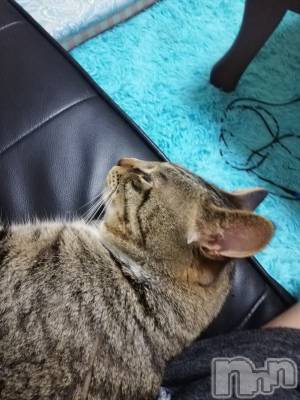 上越デリヘル 上越最安値！奥様Deli急便(ジョウエツサイヤスネ！オクサマデリキュウビン) 熟女エロパワー全開　あきほ(54)の8月2日写メブログ「年上が好きな方熟女が好きな方」