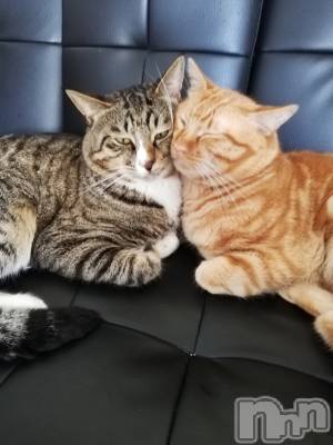 上越デリヘル 上越最安値！奥様Deli急便(ジョウエツサイヤスネ！オクサマデリキュウビン) 熟女エロパワー全開　あきほ(54)の8月23日写メブログ「あきほが癒す番です😉」