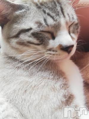 上越デリヘル 上越最安値！奥様Deli急便(ジョウエツサイヤスネ！オクサマデリキュウビン) 熟女エロパワー全開　あきほ(54)の9月17日写メブログ「今日も出勤するのでお電話待ってます❤️」