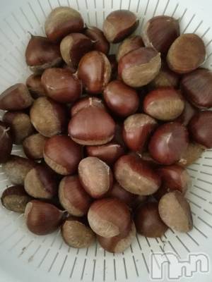 上越デリヘル 上越最安値！奥様Deli急便(ジョウエツサイヤスネ！オクサマデリキュウビン) 熟女エロパワー全開　あきほ(54)の9月20日写メブログ「秋だね🌾」