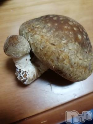 上越デリヘル 上越最安値！奥様Deli急便(ジョウエツサイヤスネ！オクサマデリキュウビン) 熟女エロパワー全開　あきほ(54)の9月21日写メブログ「熟女と遊びませんか？損はさせないよ🎵」