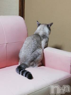 上越デリヘル 上越最安値！奥様Deli急便(ジョウエツサイヤスネ！オクサマデリキュウビン) 熟女エロパワー全開　あきほ(54)の9月27日写メブログ「今日は急遽、出勤します☺️」