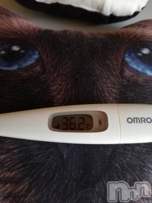 上越デリヘル 上越最安値！奥様Deli急便(ジョウエツサイヤスネ！オクサマデリキュウビン) 熟女エロパワー全開　あきほ(54)の10月3日写メブログ「おはようございます。」