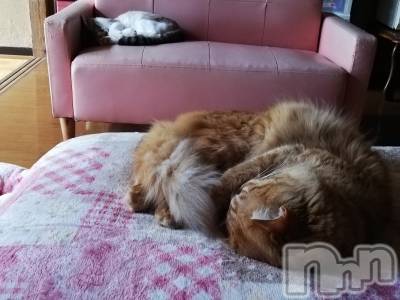 上越デリヘル 上越最安値！奥様Deli急便(ジョウエツサイヤスネ！オクサマデリキュウビン) 熟女エロパワー全開　あきほ(54)の10月10日写メブログ「12時からのご予約ありがとうございます❤️」