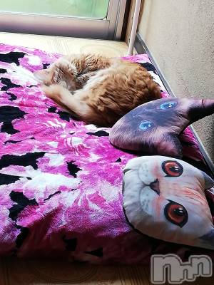 上越デリヘル 上越最安値！奥様Deli急便(ジョウエツサイヤスネ！オクサマデリキュウビン) 熟女エロパワー全開　あきほ(54)の10月17日写メブログ「人肌恋しい季節」