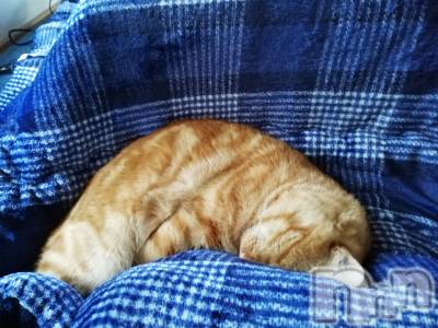 上越デリヘル 上越最安値！奥様Deli急便(ジョウエツサイヤスネ！オクサマデリキュウビン) 熟女エロパワー全開　あきほ(54)の10月18日写メブログ「熟女と遊びませんか？損はさせないよ🎵」