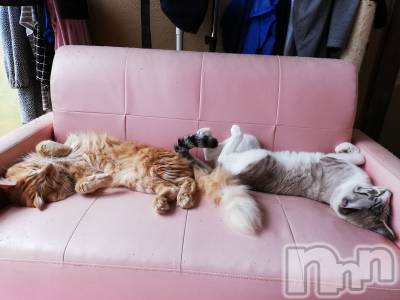 上越デリヘル 上越最安値！奥様Deli急便(ジョウエツサイヤスネ！オクサマデリキュウビン) 熟女エロパワー全開　あきほ(54)の10月21日写メブログ「今日も……」