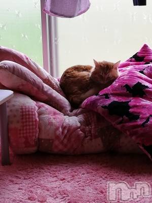 上越デリヘル 上越最安値！奥様Deli急便(ジョウエツサイヤスネ！オクサマデリキュウビン) 熟女エロパワー全開　あきほ(54)の10月23日写メブログ「今日はお休みです🙏休肝日W」