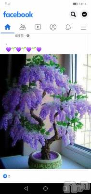 上越デリヘル 上越最安値！奥様Deli急便(ジョウエツサイヤスネ！オクサマデリキュウビン) 熟女エロパワー全開　あきほ(54)の11月19日写メブログ「熟女と遊びませんか？損はさせないよ🎵」