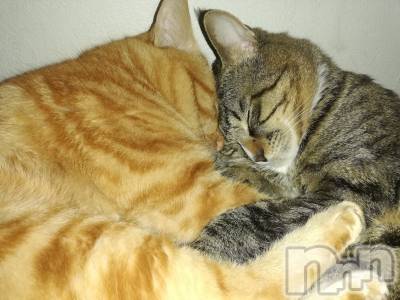 上越デリヘル 上越最安値！奥様Deli急便(ジョウエツサイヤスネ！オクサマデリキュウビン) 熟女エロパワー全開　あきほ(54)の11月25日写メブログ「向かいます🏩❤️」