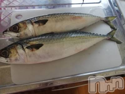 上越デリヘル 上越最安値！奥様Deli急便(ジョウエツサイヤスネ！オクサマデリキュウビン) 熟女エロパワー全開　あきほ(54)の12月2日写メブログ「夕食のおかず」