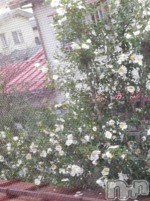 上越デリヘル 上越最安値！奥様Deli急便(ジョウエツサイヤスネ！オクサマデリキュウビン) 熟女エロパワー全開　あきほ(54)の12月4日写メブログ「また明日から宜しくお願いします🙇‍♀️⤵️」