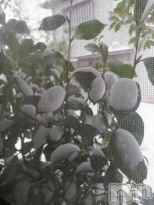 上越デリヘル 上越最安値！奥様Deli急便(ジョウエツサイヤスネ！オクサマデリキュウビン) 熟女エロパワー全開　あきほ(54)の1月25日写メブログ「葉っぱに🌨️」