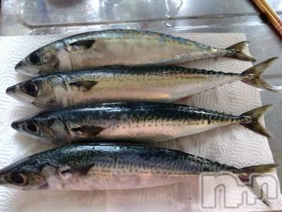 上越デリヘル 上越最安値！奥様Deli急便(ジョウエツサイヤスネ！オクサマデリキュウビン) 熟女エロパワー全開　あきほ(54)の7月5日写メブログ「ロング予約ありがとう」