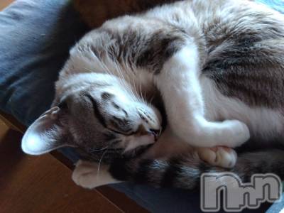 上越デリヘル 上越最安値！奥様Deli急便(ジョウエツサイヤスネ！オクサマデリキュウビン) 熟女エロパワー全開　あきほ(54)の12月27日写メブログ「今年最後の〇〇納めに来てね」