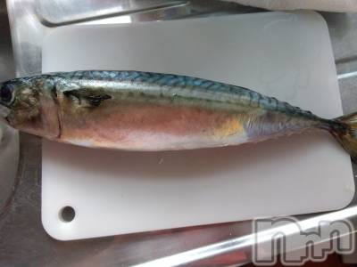 上越デリヘル 上越最安値！奥様Deli急便(ジョウエツサイヤスネ！オクサマデリキュウビン) 熟女エロパワー全開　あきほ(54)の2月16日写メブログ「明日は短時間です」