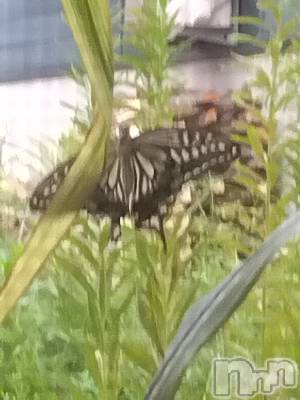 上越デリヘル 上越最安値！奥様Deli急便(ジョウエツサイヤスネ！オクサマデリキュウビン) 熟女エロパワー全開　あきほ(54)の6月6日写メブログ「久しぶりの出勤です♪」