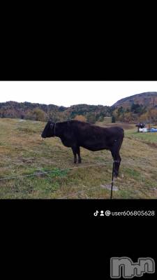 上越デリヘル 上越最安値！奥様Deli急便(ジョウエツサイヤスネ！オクサマデリキュウビン) 熟女エロパワー全開　あきほ(54)の11月16日写メブログ「11月16日 17時11分のブログ」