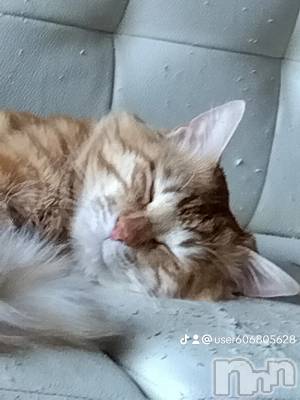 上越デリヘル 上越最安値！奥様Deli急便(ジョウエツサイヤスネ！オクサマデリキュウビン) 熟女エロパワー全開　あきほ(54)の5月22日写メブログ「おはようございます」