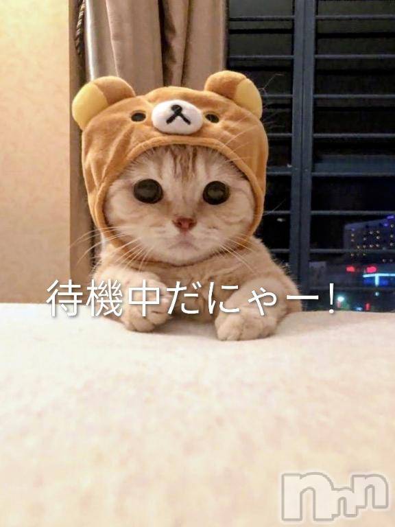 上田発デリヘル人妻華道 上田店(ヒトヅマハナミチウエダテン)【熟女】小雪(54)の2026年2月22日写メブログ「動物愛が強い小雪です♪」