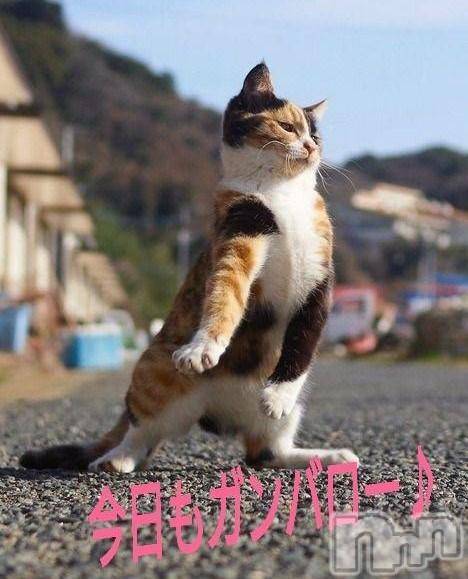 上田発デリヘル人妻華道 上田店(ヒトヅマハナミチウエダテン)【熟女】小雪(54)の2026年2月24日写メブログ「ファイティン♪」