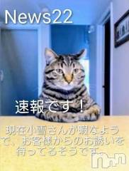 上田発デリヘル人妻華道 上田店(ヒトヅマハナミチウエダテン) 【熟女】小雪(54)の2月24日写メブログ「臨時ニュースです。」