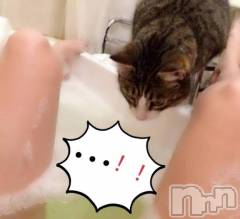 上田発デリヘル人妻華道 上田店(ヒトヅマハナミチウエダテン) 【熟女】小雪(54)の5月14日写メブログ「今日もよろしくね♪」