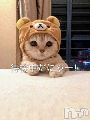 上田発デリヘル 人妻華道 上田店(ヒトヅマハナミチウエダテン) 【熟女】小雪(54)の2月22日写メブログ「動物愛が強い小雪です♪」