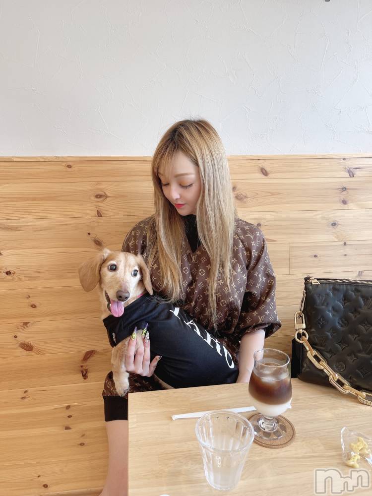 ĮХ顦Lounge R Style(饦󥸥륹) ܥ75̥֥֥ǡȡ