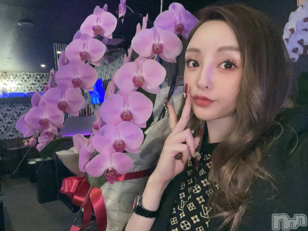 ĮХ顦Lounge R Style(饦󥸥륹) ܥ113̥֥֤衼Ӥ