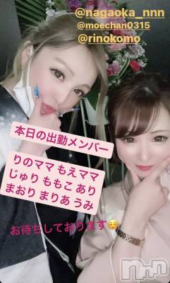 ĮХ顦Lounge R Style(饦󥸥륹) ܥ327̥֥֣Ź޸ˡ