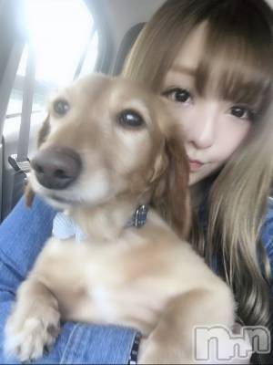 ĮХ顦Lounge R Style(饦󥸥륹) ܥ527ְ̥֥Ρ