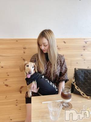 ĮХ顦Lounge R Style(饦󥸥륹) ܥ36̥֥֤äȺƳ⭐️