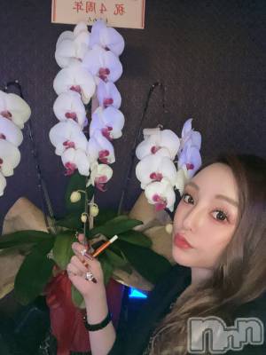 ĮХ顦Lounge R Style(饦󥸥륹) ܥ124̥֥֤Ϥ